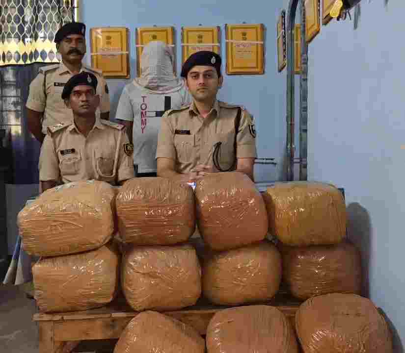 भारी मात्रा में गांजा के साथ एक तस्कर को पुलिस ने किया गिरफ्तार,पकड़े गए गांजा की कीमत लाखों में